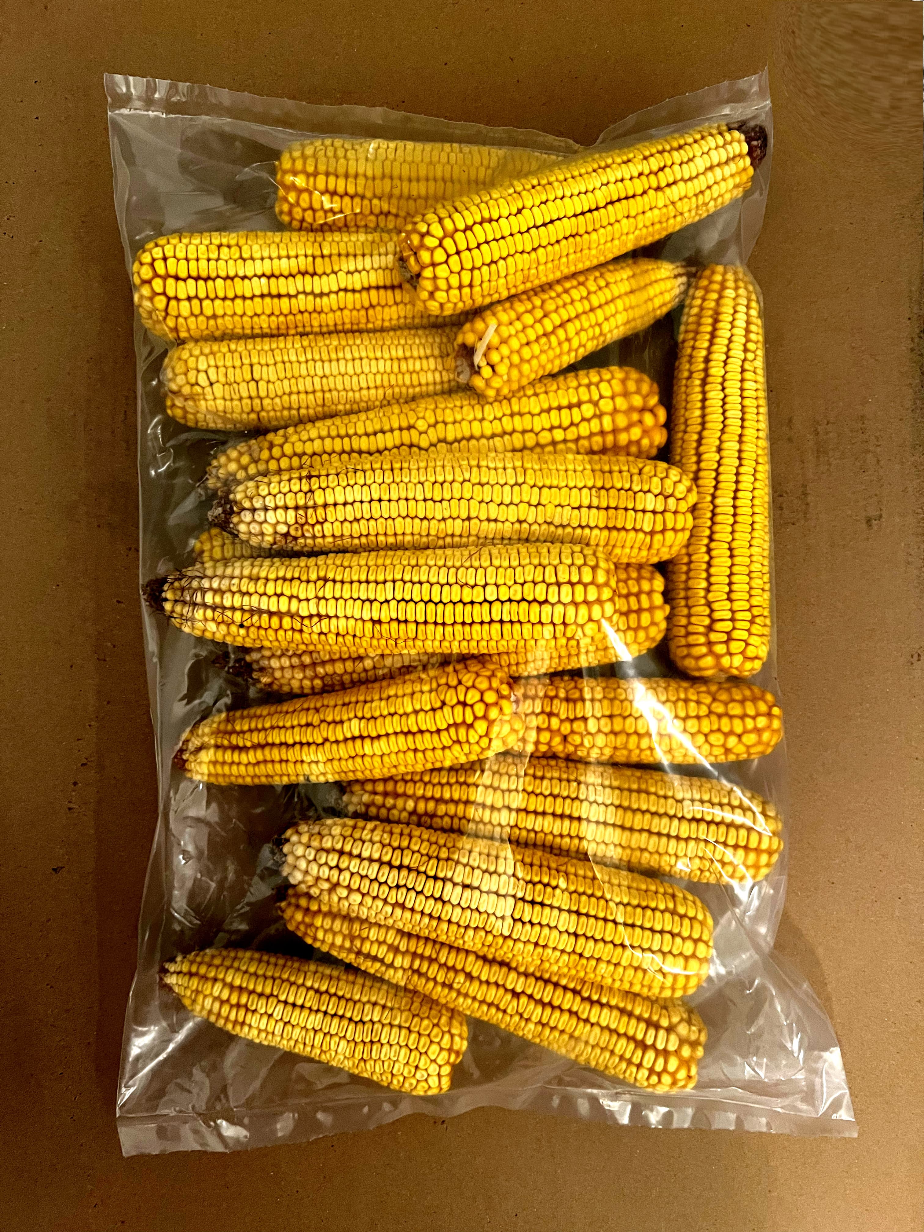 yellow-field-ear-corn-bag.jpg